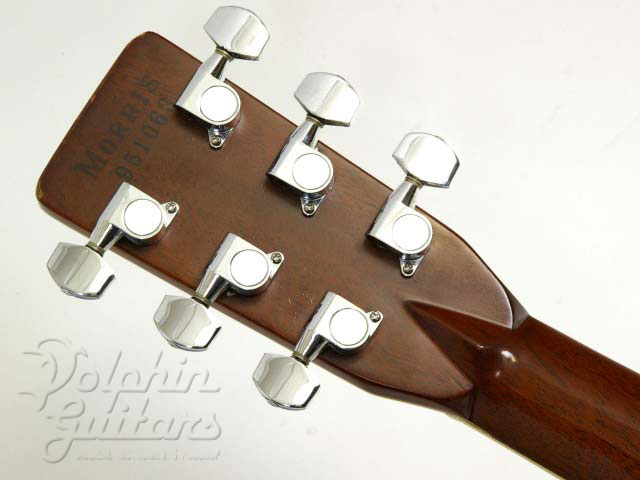 MORRIS W-80|ドルフィンギターズ