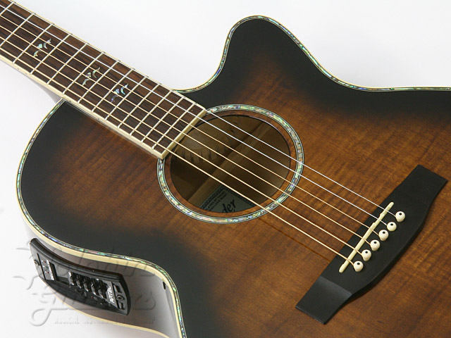 Cooder by Takamine TCP-560|ドルフィンギターズ