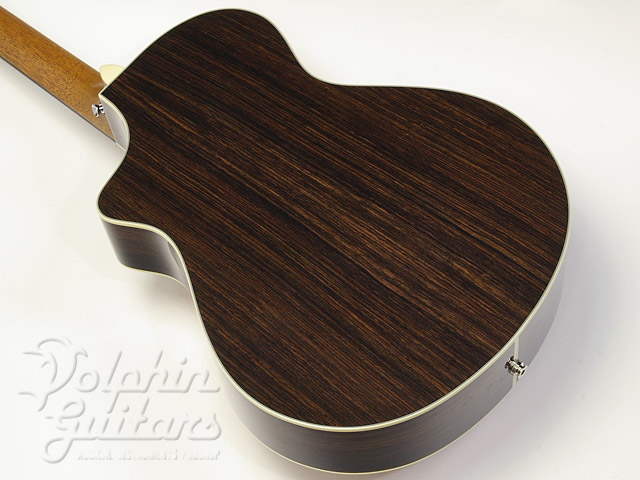 Breedlove Focus SE|ドルフィンギターズ