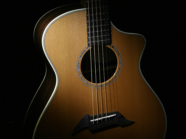 Breedlove C25/CRH|ドルフィンギターズ