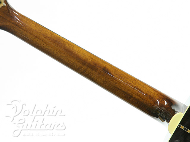 LEVINSON ACOUSTIC LS-43 w/AK15plus|ドルフィンギターズ