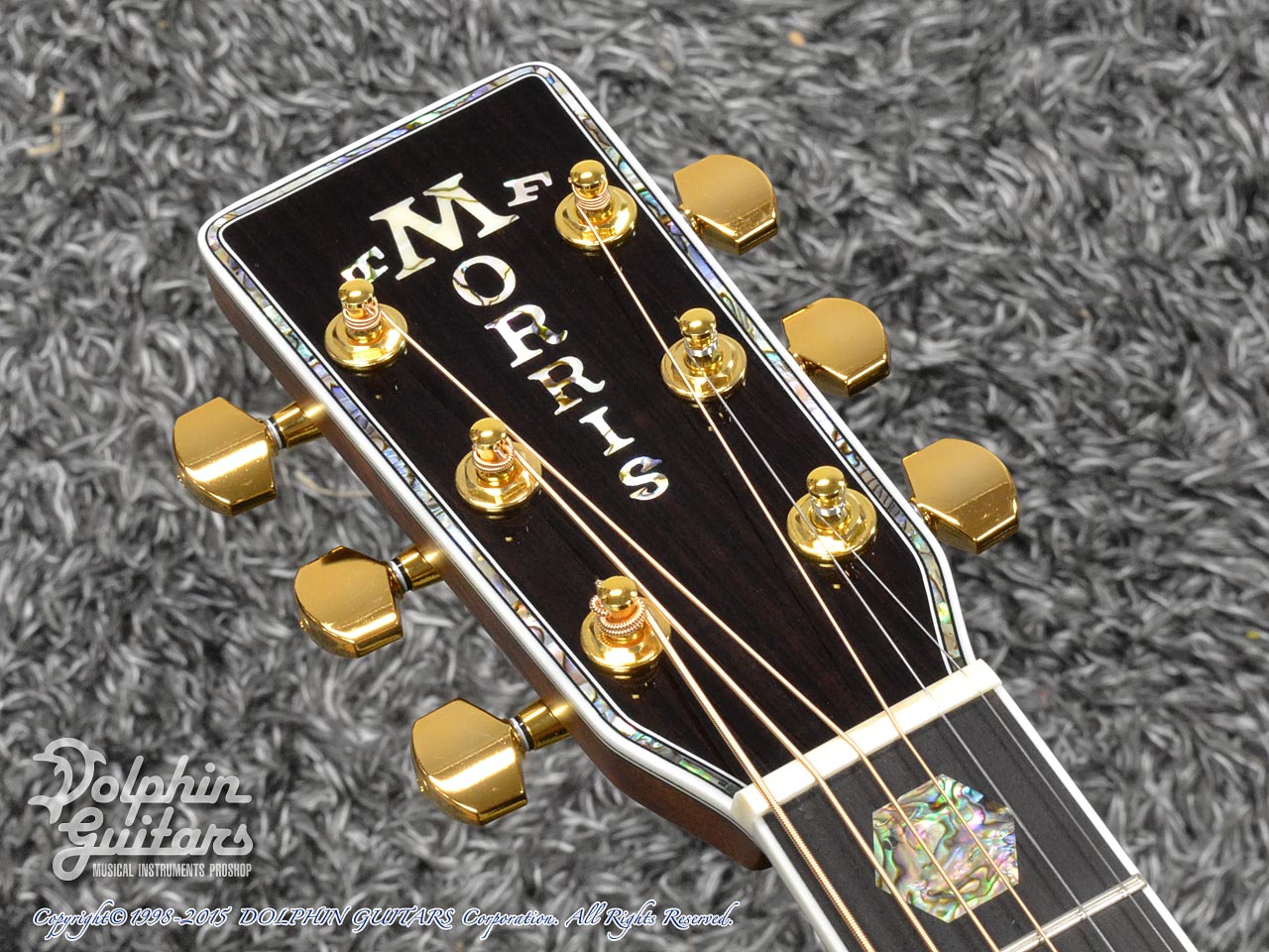 MORRIS 50th Anniversary Premium|ドルフィンギターズ