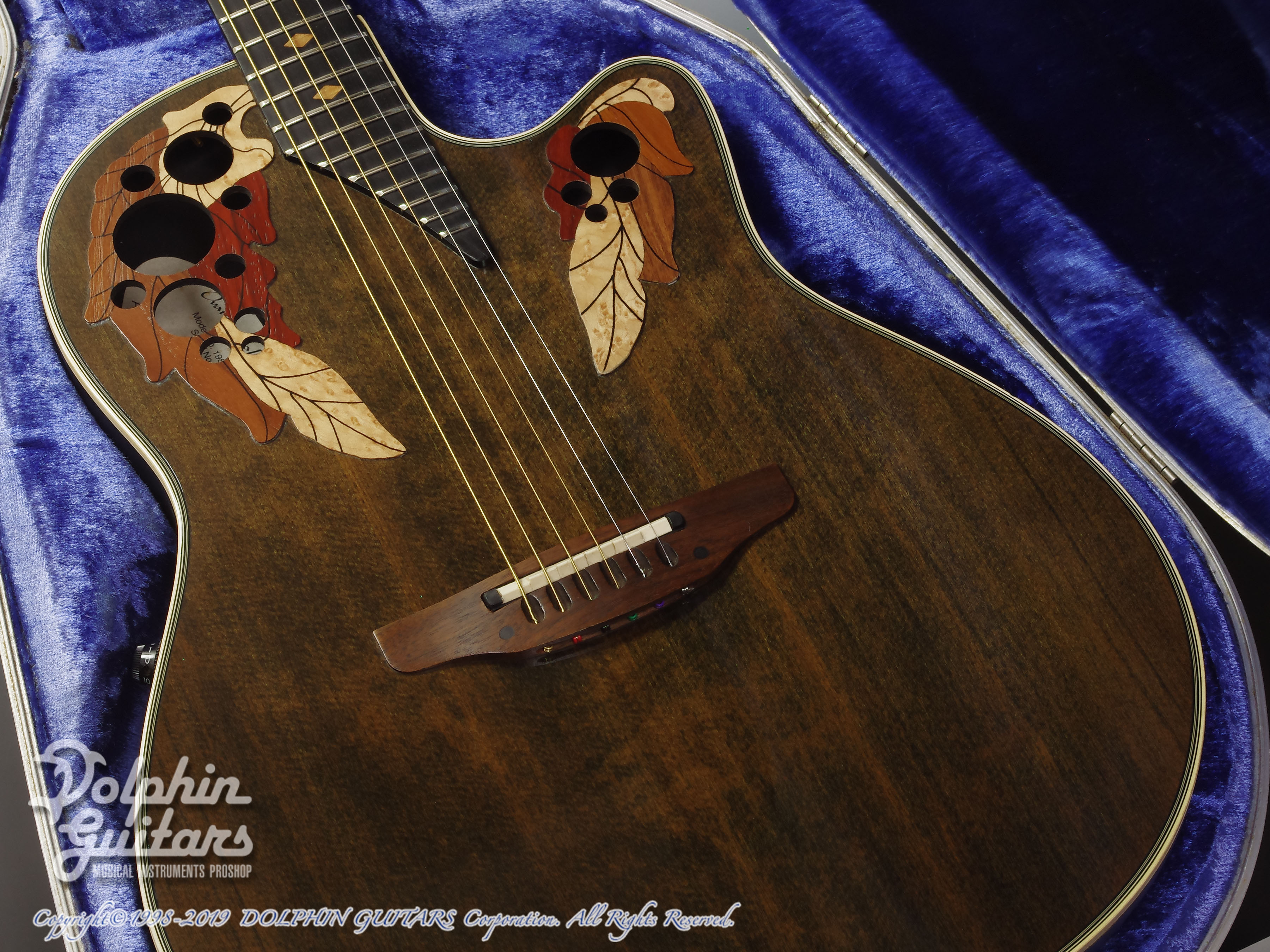 OVATION 1984 Collecter|ドルフィンギターズ