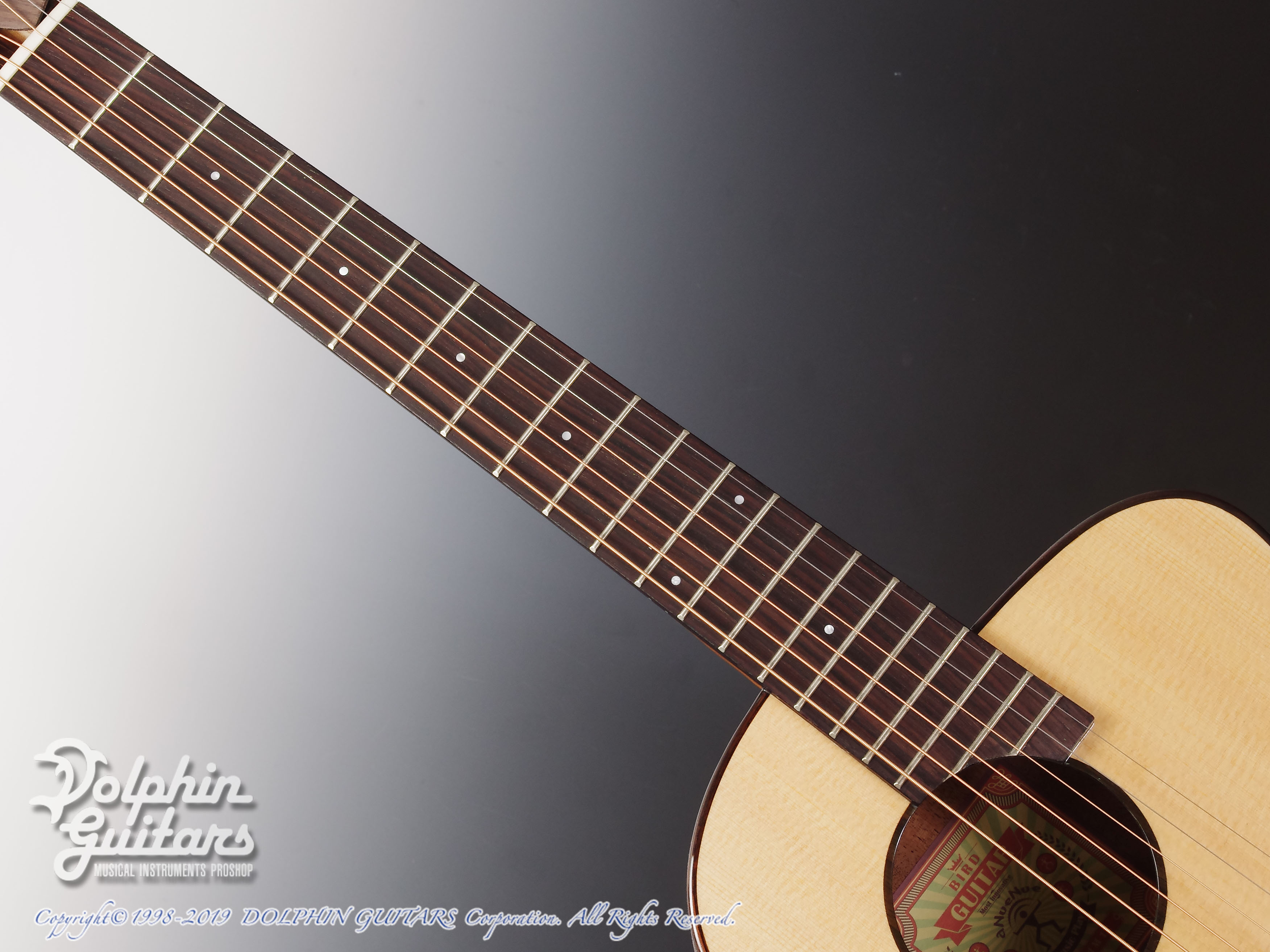 aNueNue Bird aNN-M12|ドルフィンギターズ