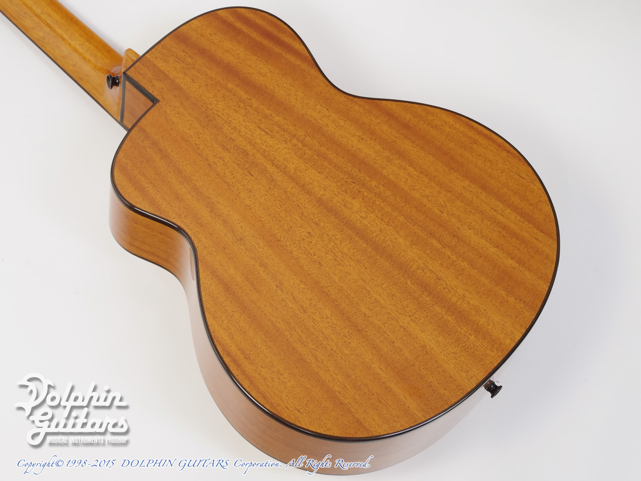 ANueNue Bird Guitar Series aNN-M12|ドルフィンギターズ