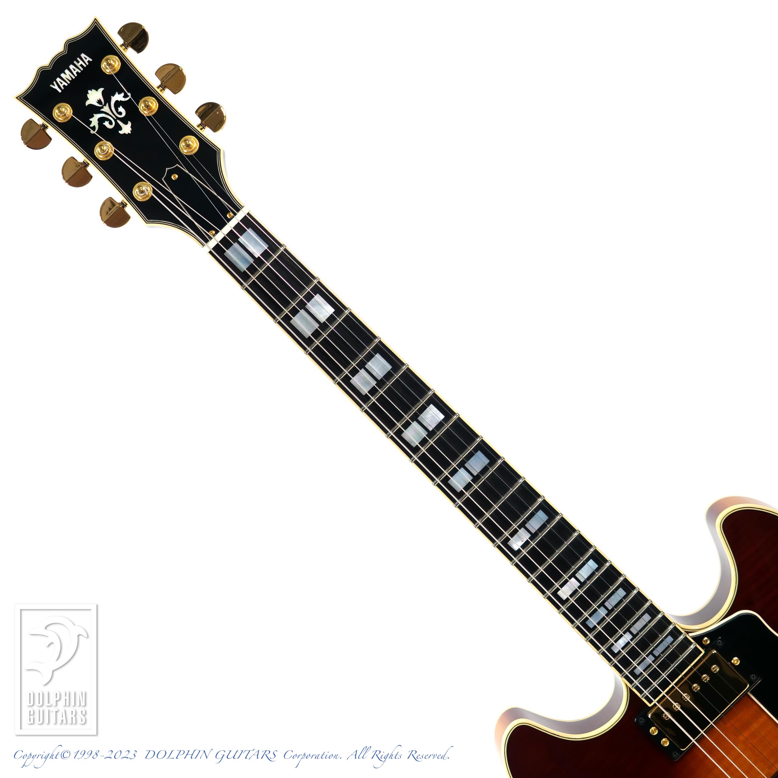 YAMAHA SA2200 |ドルフィンギターズ