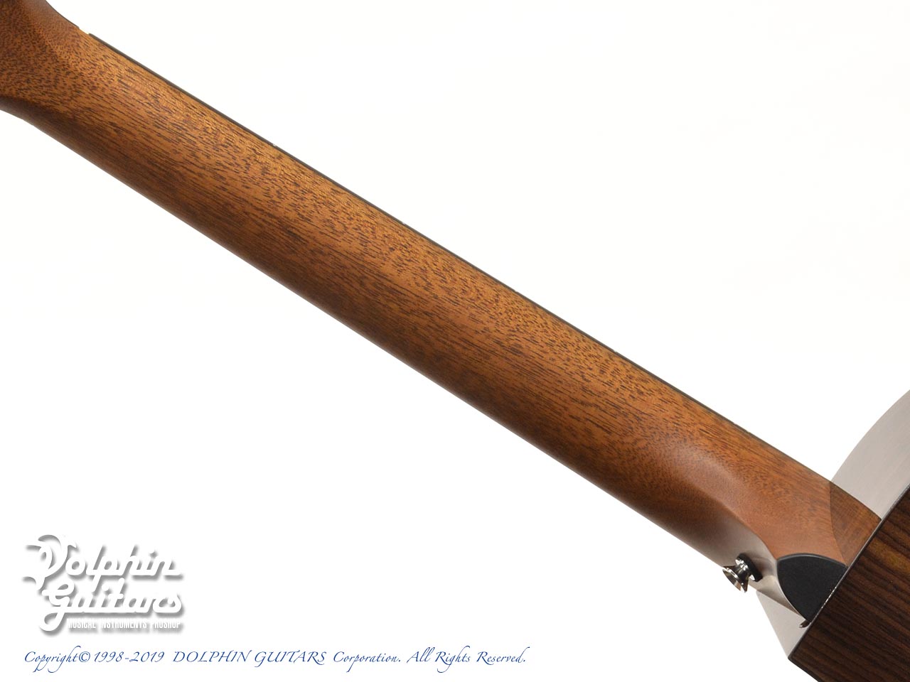 Breedlove Premier C22CE Concert|ドルフィンギターズ