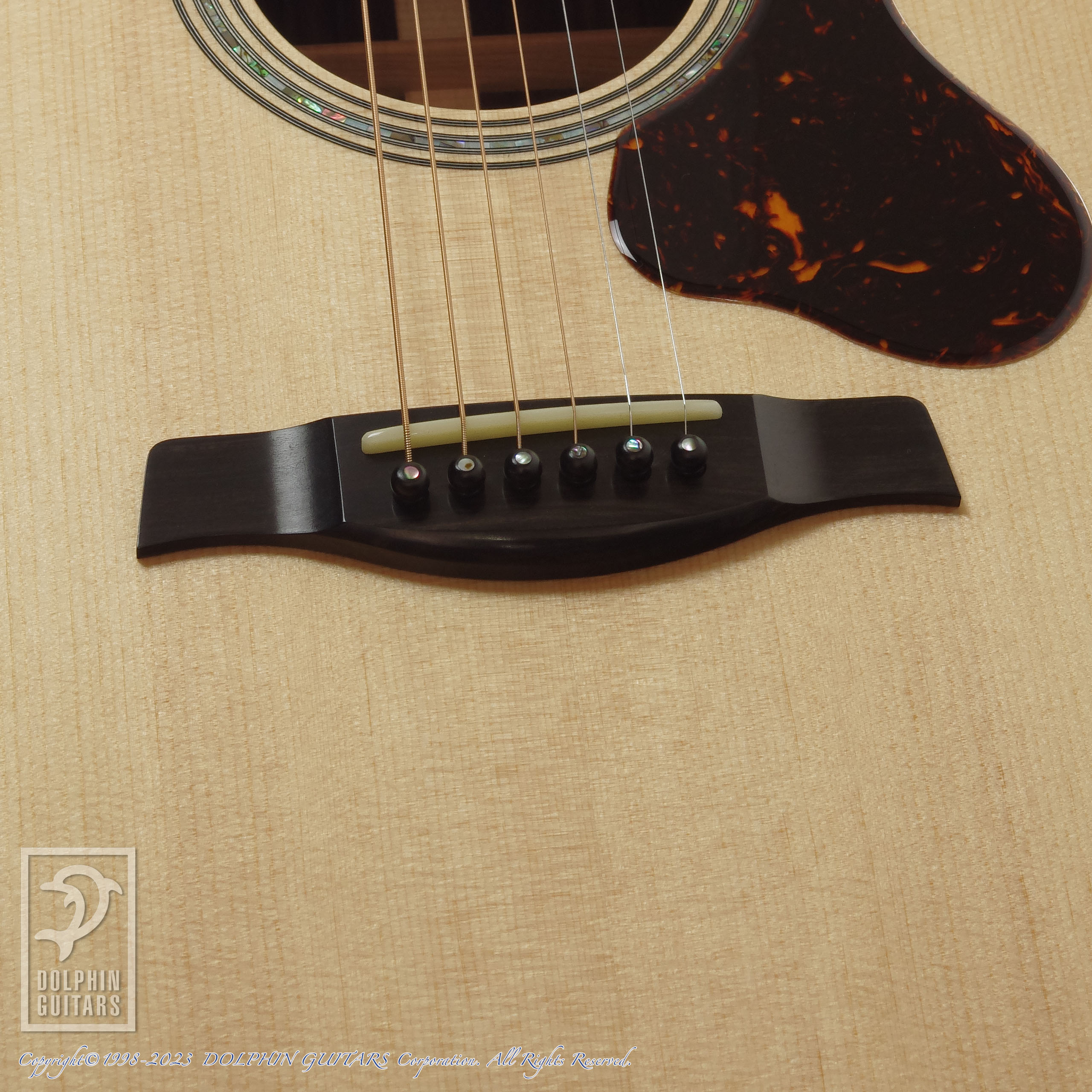 SWITCH D-70C|ドルフィンギターズ