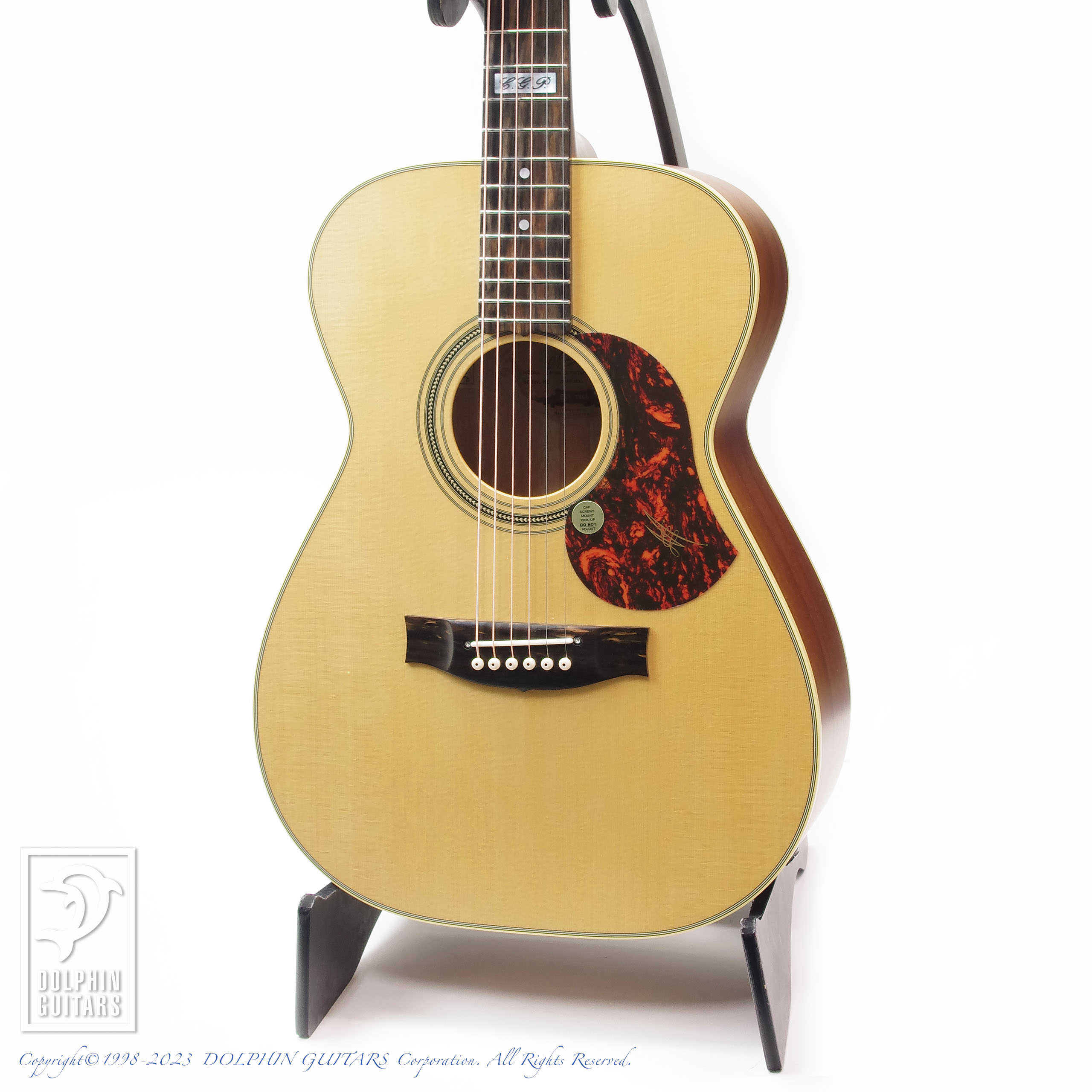 MATON EBG808TE (Tommy Emmanuel Signature)|ドルフィンギターズ