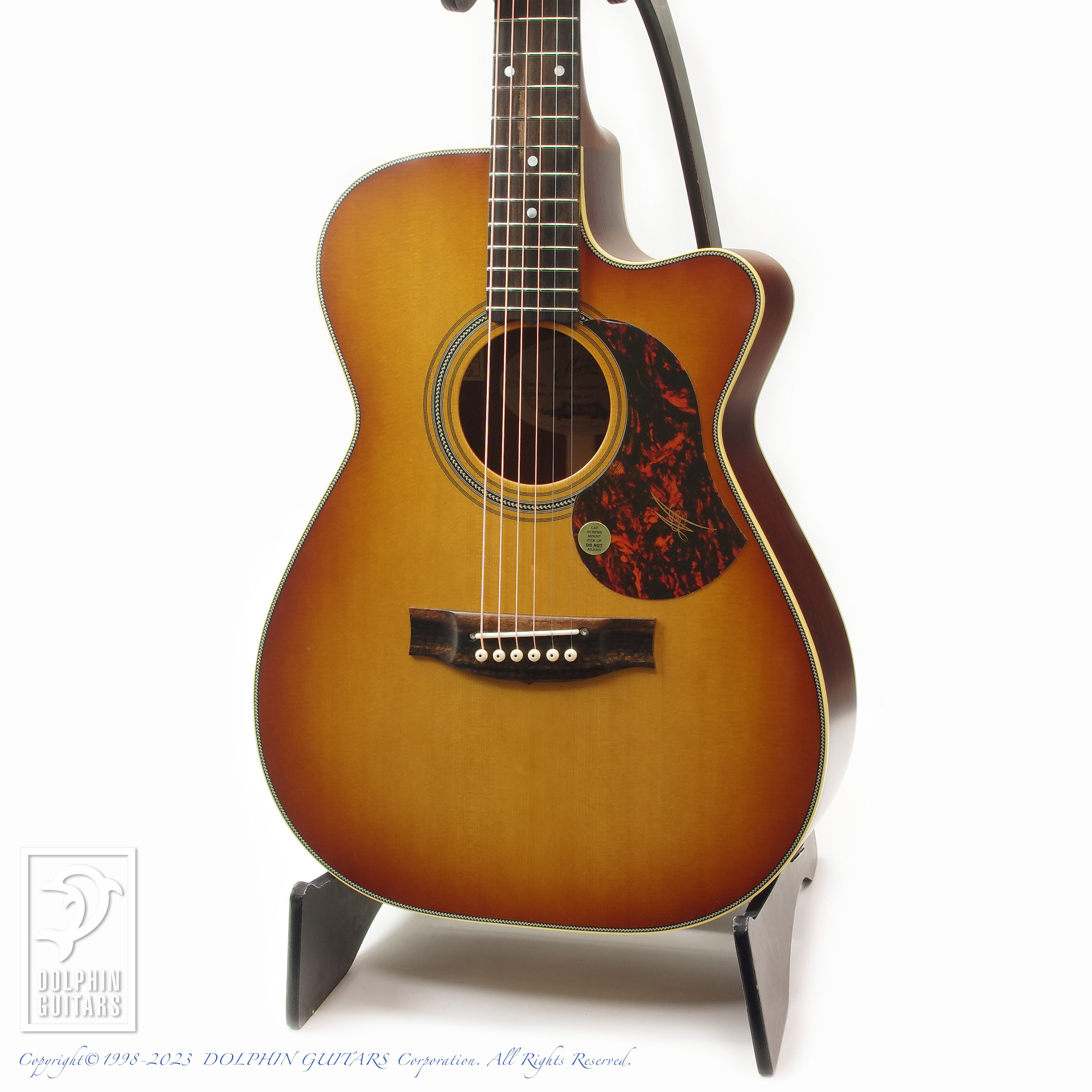 MATON EBG808C Nashville |ドルフィンギターズ