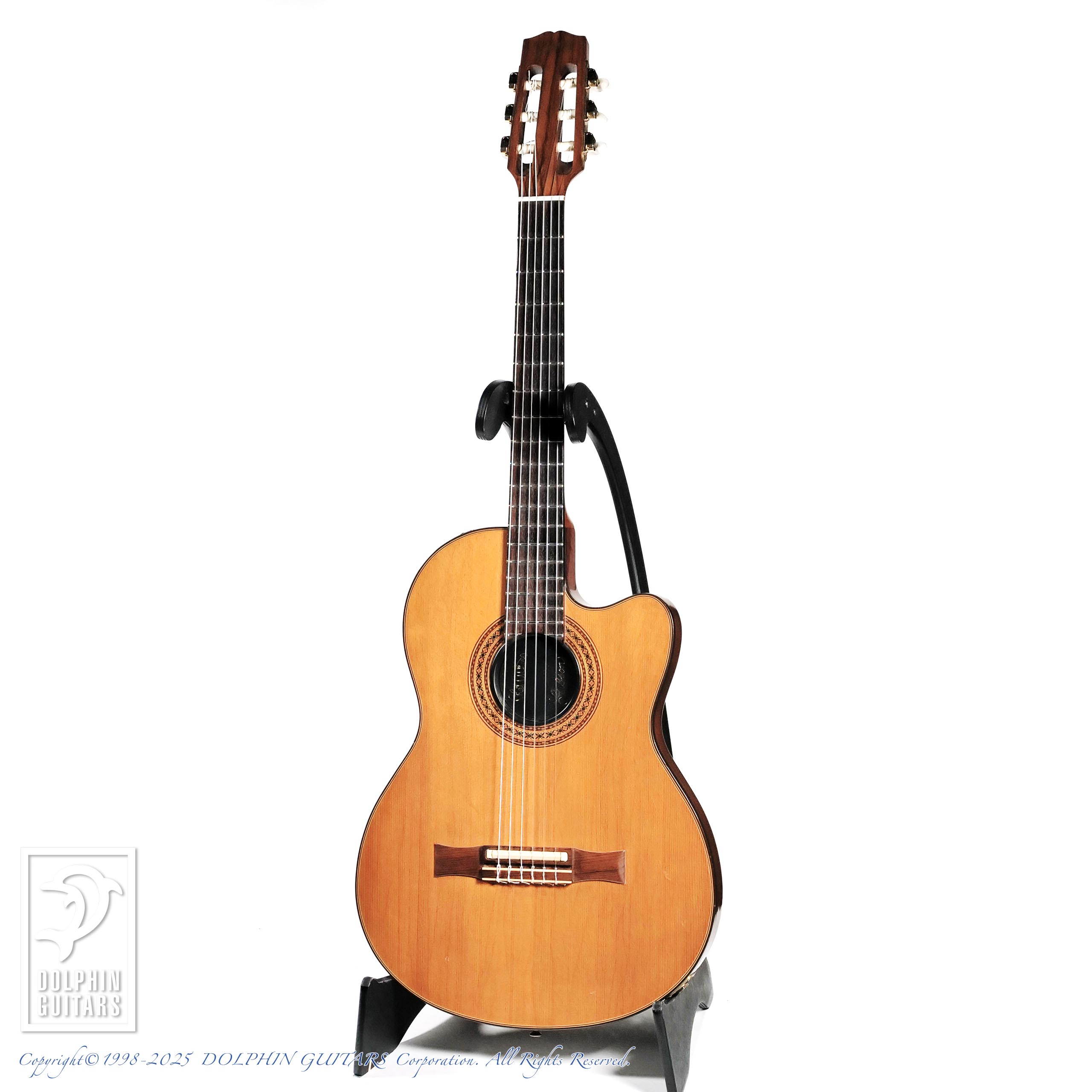 Gibson Chet Atkins CE AN (Nylon Strings)|ドルフィンギターズ