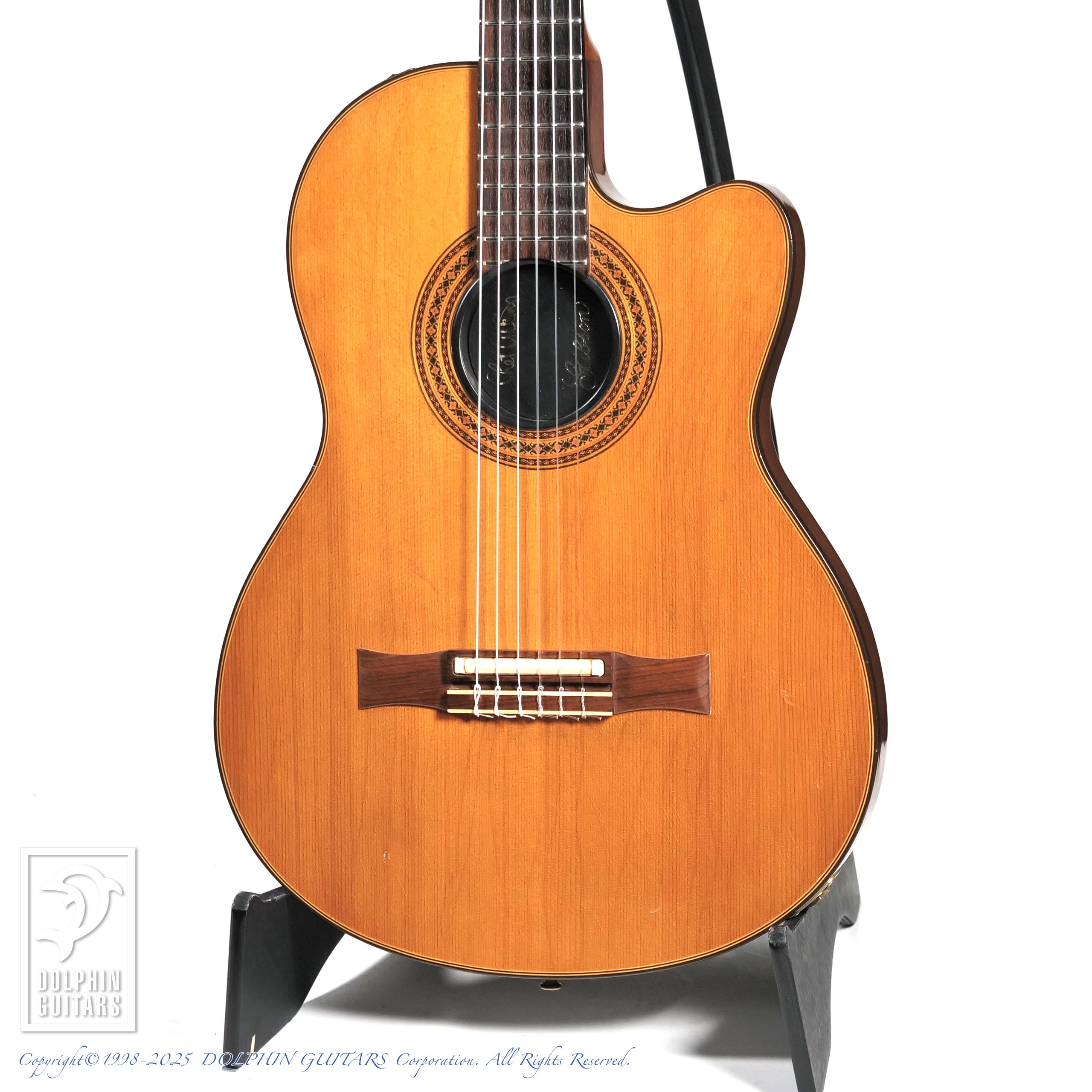 Gibson Chet Atkins CE AN (Nylon Strings)|ドルフィンギターズ