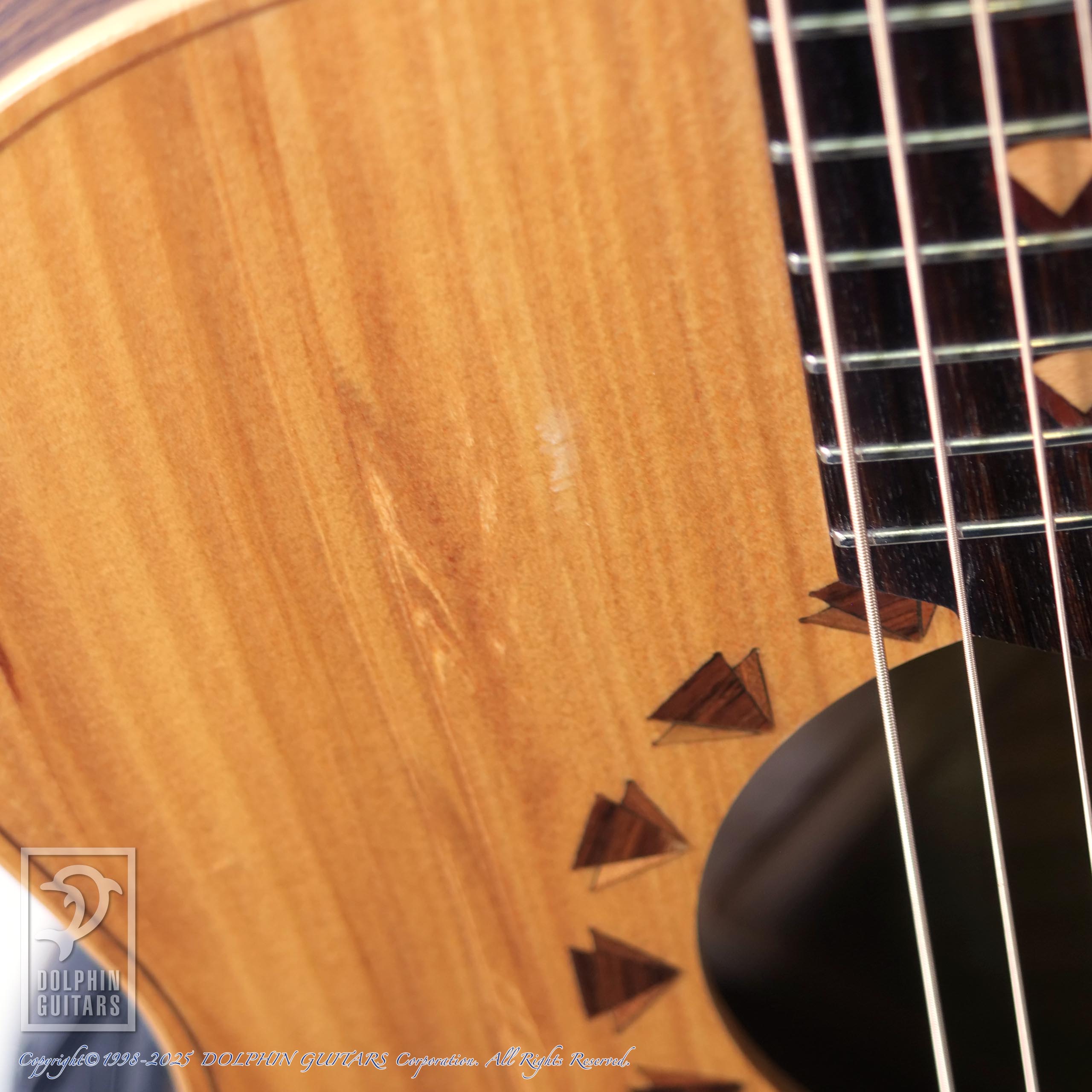 COLE CLARK AN2AC|ドルフィンギターズ