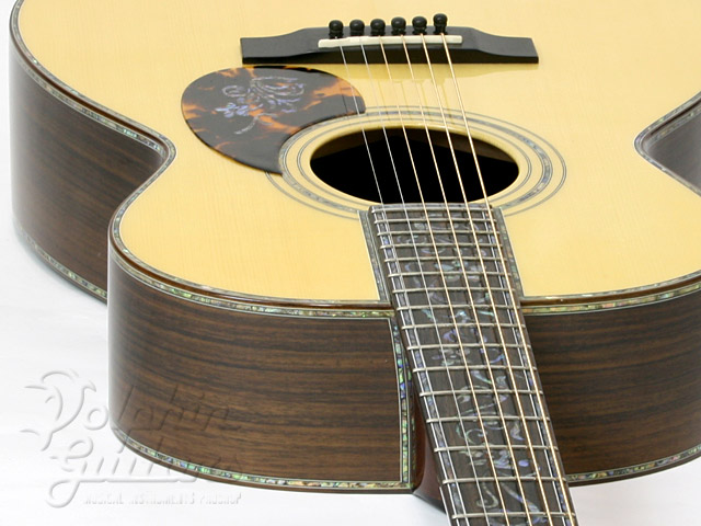 BUGSGEAR OR-50 TWTL Proto|ドルフィンギターズ