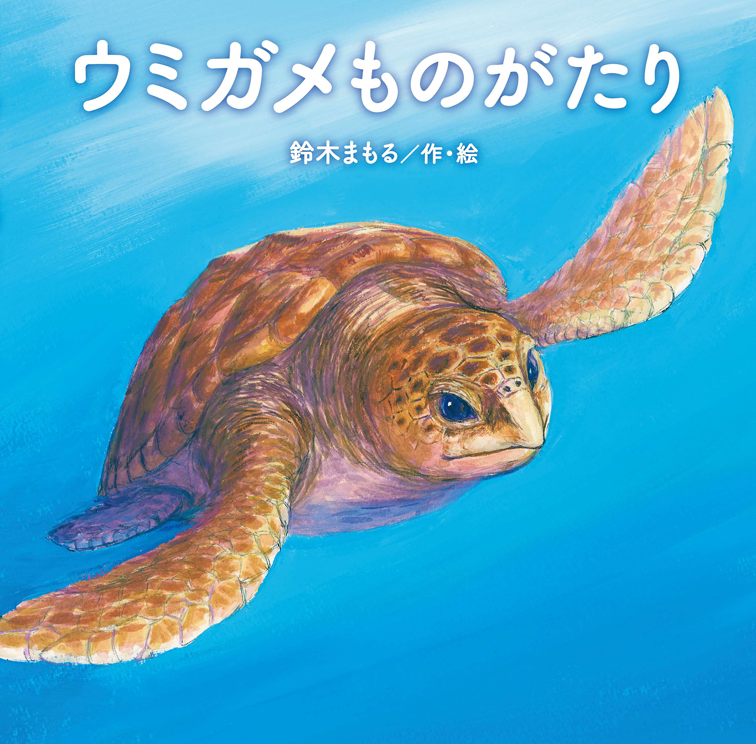 ウミガメものがたり (童心社の絵本) ：鈴木まもる - 童心社