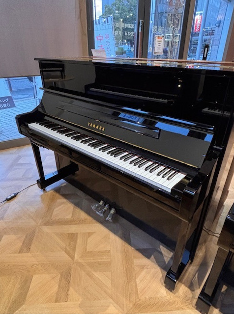 豊田元城店 おすすめ店頭展示品 - 第一楽器