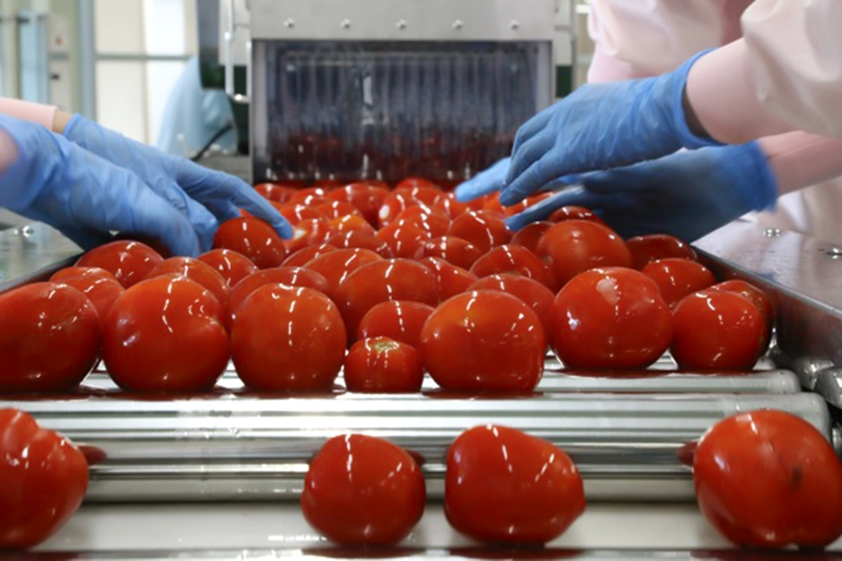 毎日がとまと曜日 - 大仙市の食の魅力