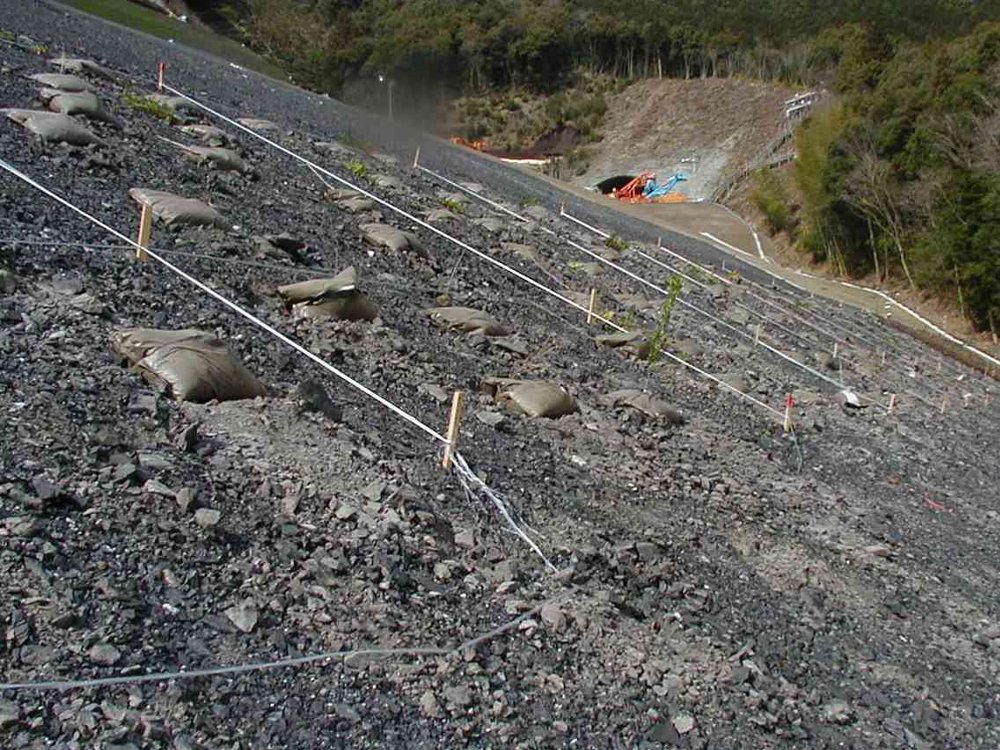 壁面緑化・駐車場緑化等のメーカー「ダイトウテクノグリーン」