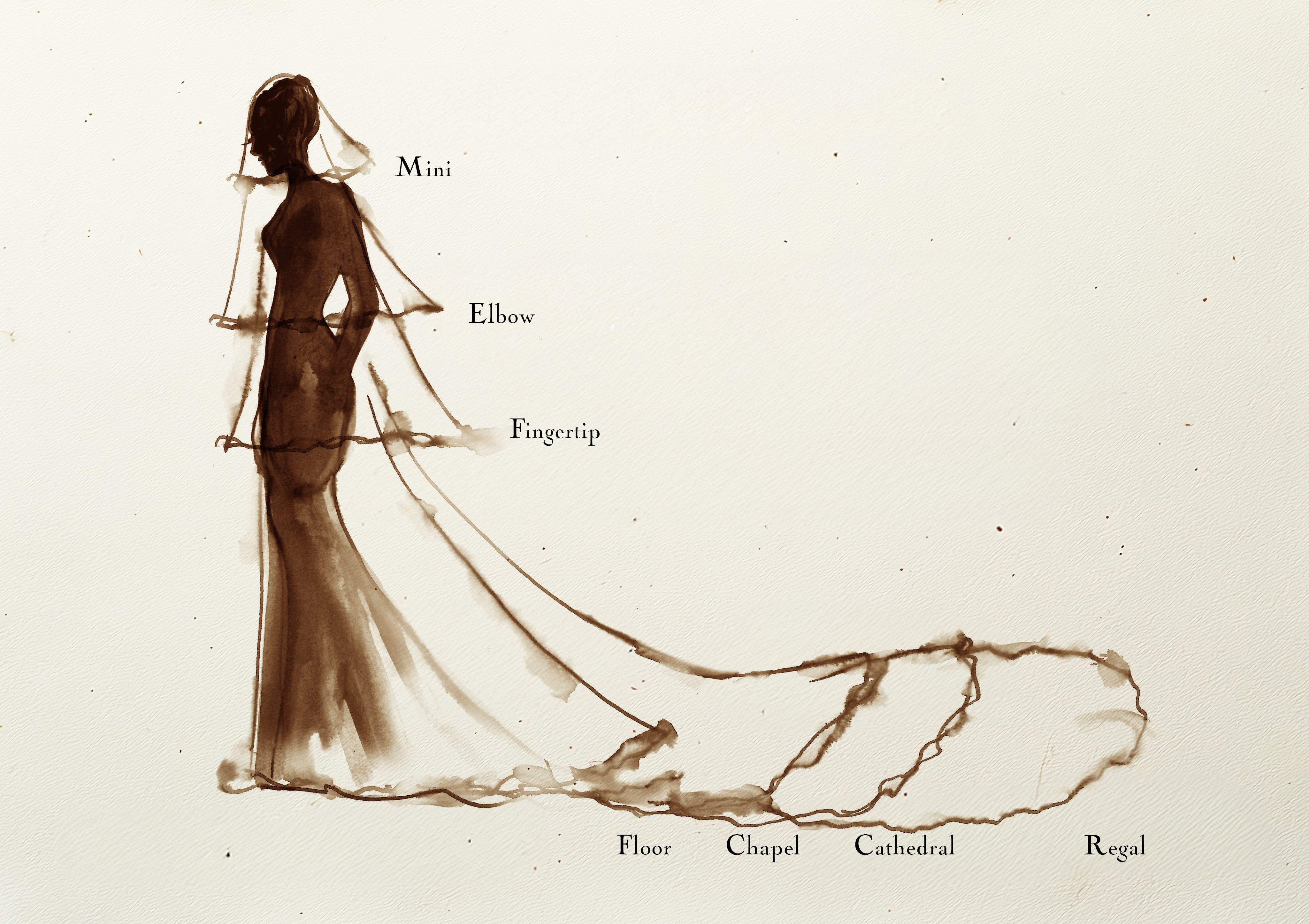 Pleated Lace Appliqué Veil - Floor – Danielle Frankel