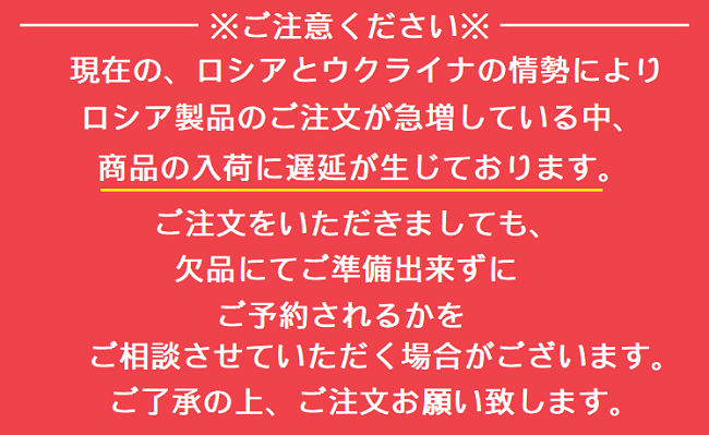 バレエ用品の【ルビン】アールクラス トウシューズ トウシューズ