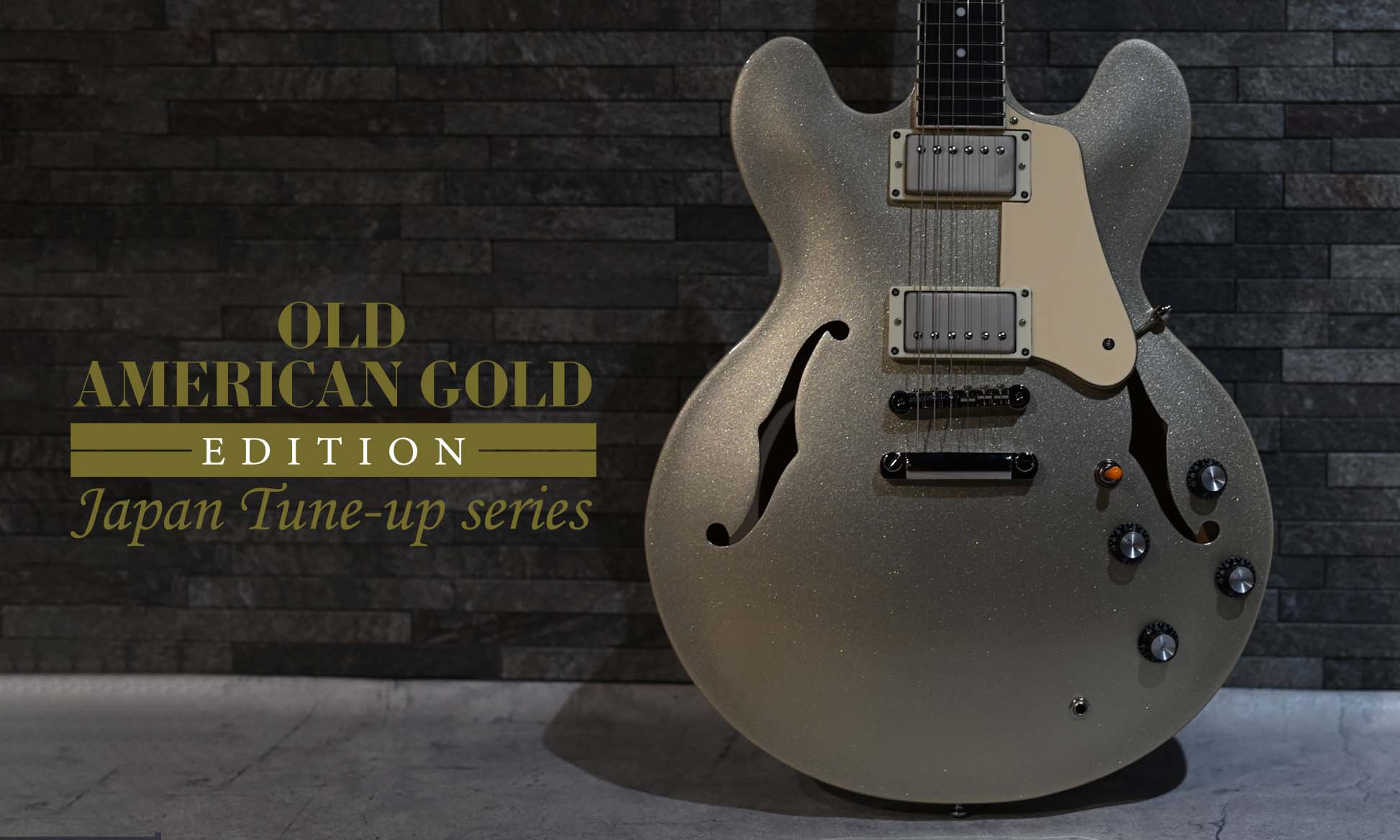 Old American Gold 特設ページ | Deviser ｜株式会社ディバイザー