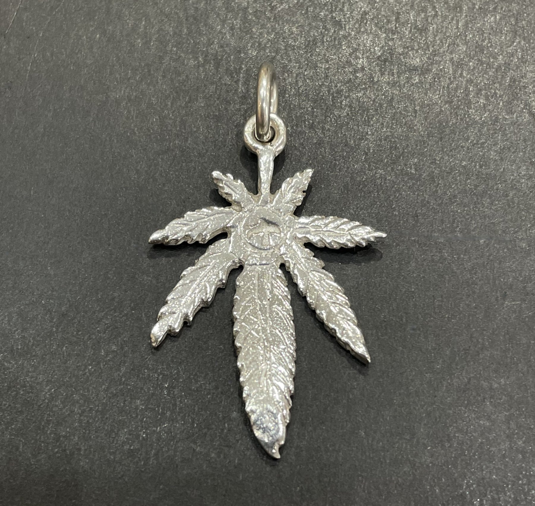 IMG_12651_1800x1800.jpg?v=