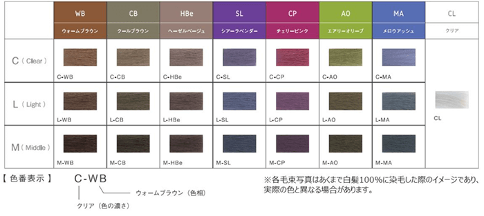 世界初「グロス染料」配合のヘアカラー『 Le POLISSAGE（ル ポリ