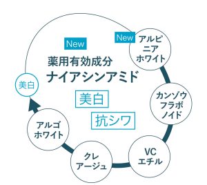 ディアナージュ ルナブラン プリュス – 補整下着(補正下着)で理想の