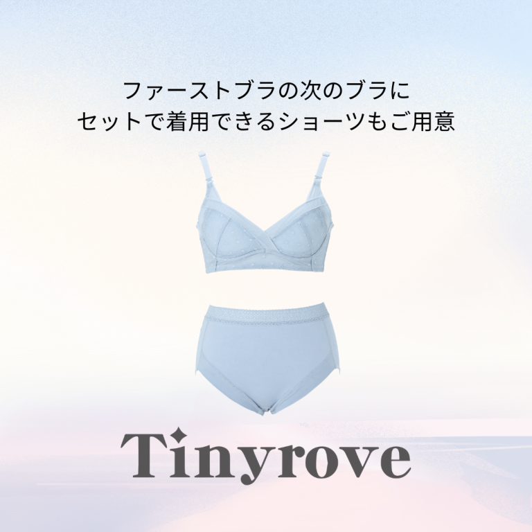 商品紹介 – 補整下着(補正下着)で理想のプロポーション