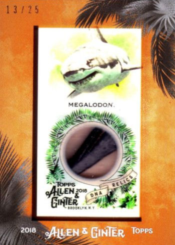 The Dinosaur Fan is a dinosaur card collector's encyclopedia