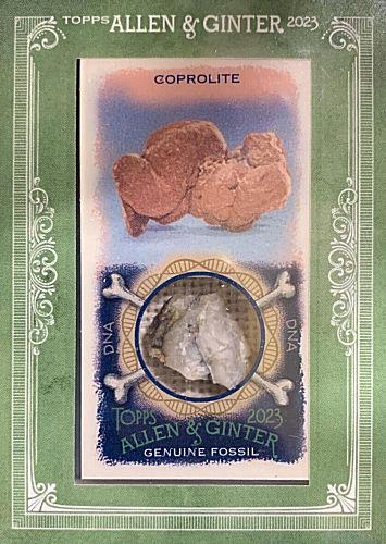 The Dinosaur Fan is a dinosaur card collector's encyclopedia