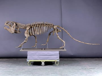 FPDM: 標本データベース