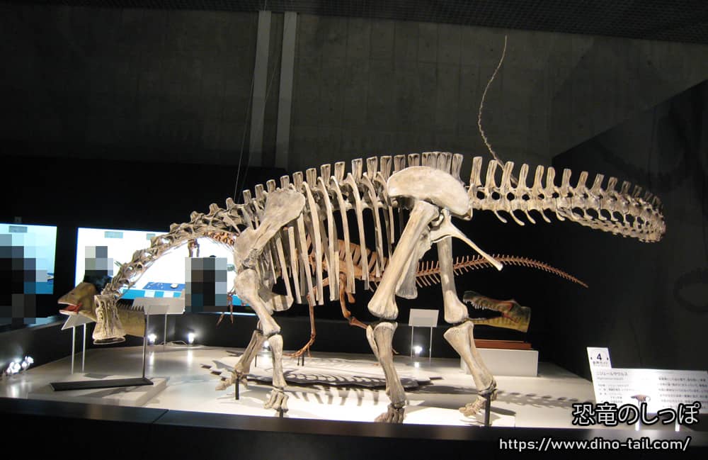 ニジェールサウルス | 恐竜のしっぽ -図鑑-