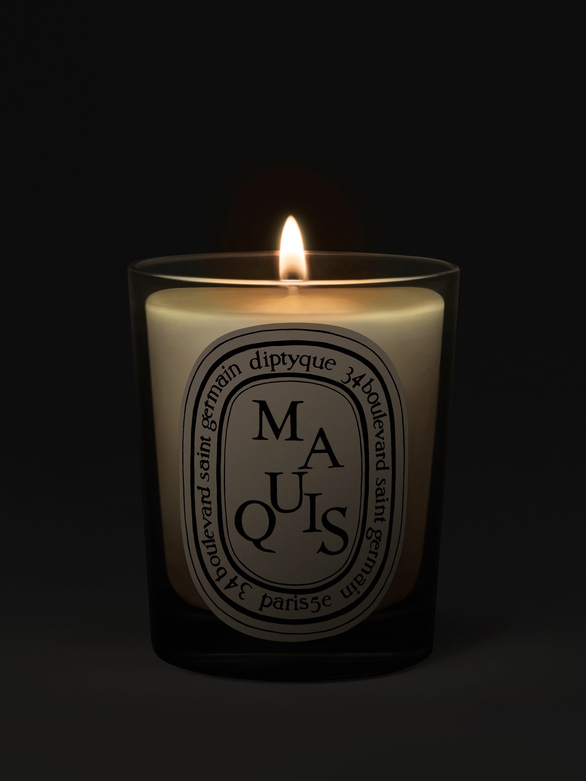 34 boulevard Saint Germain - Medium candle | Diptyque Paris