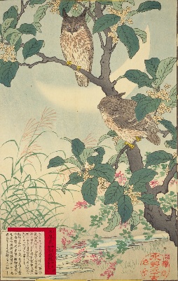 幸野楳嶺の花鳥画譜 | NDLイメージバンク | 電子展示会