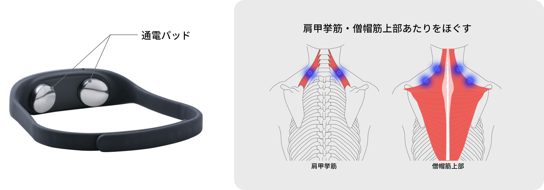 フィットウェーブ | ドクターエア（DOCTORAIR）公式ブランドサイト
