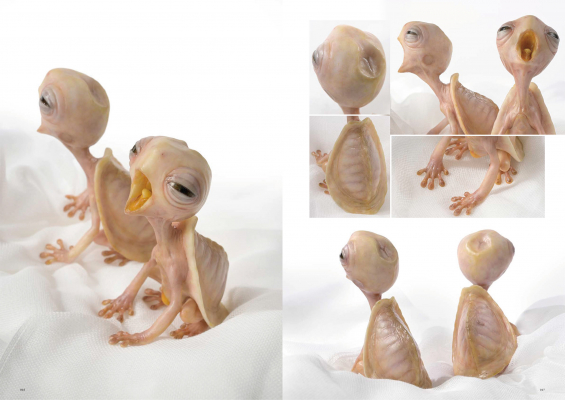 妖怪の立体作品集「H.M.S. 幻想模型世界 妖怪～百鬼夜行～」3月3日（月