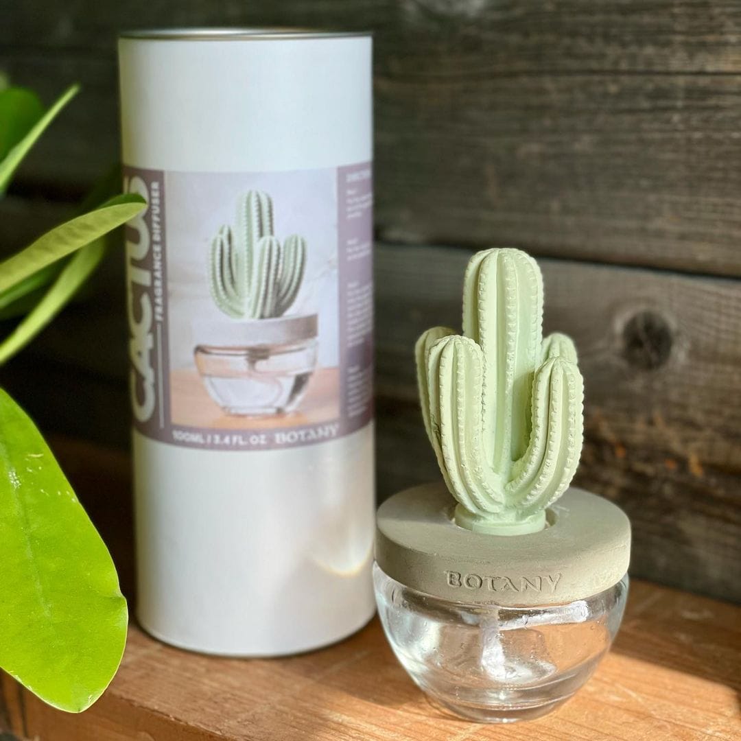 DULTON ONLINE SHOP | CACTUS FRAGRANCE DIFFUSER B OCEAN BREEZE(B