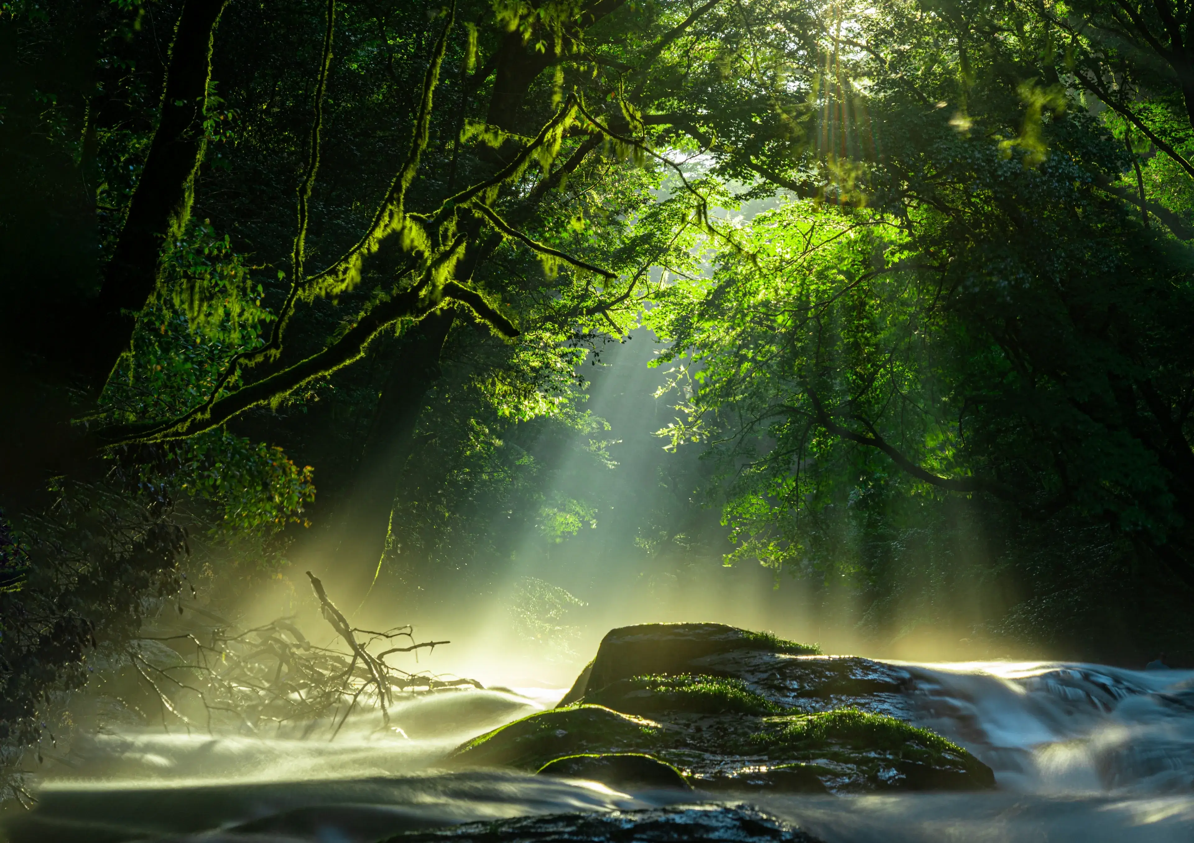美しさ」を引き出し高めるスキンケア。カルディ | duskin