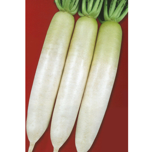 015820_684f860cd0a19.jpg?