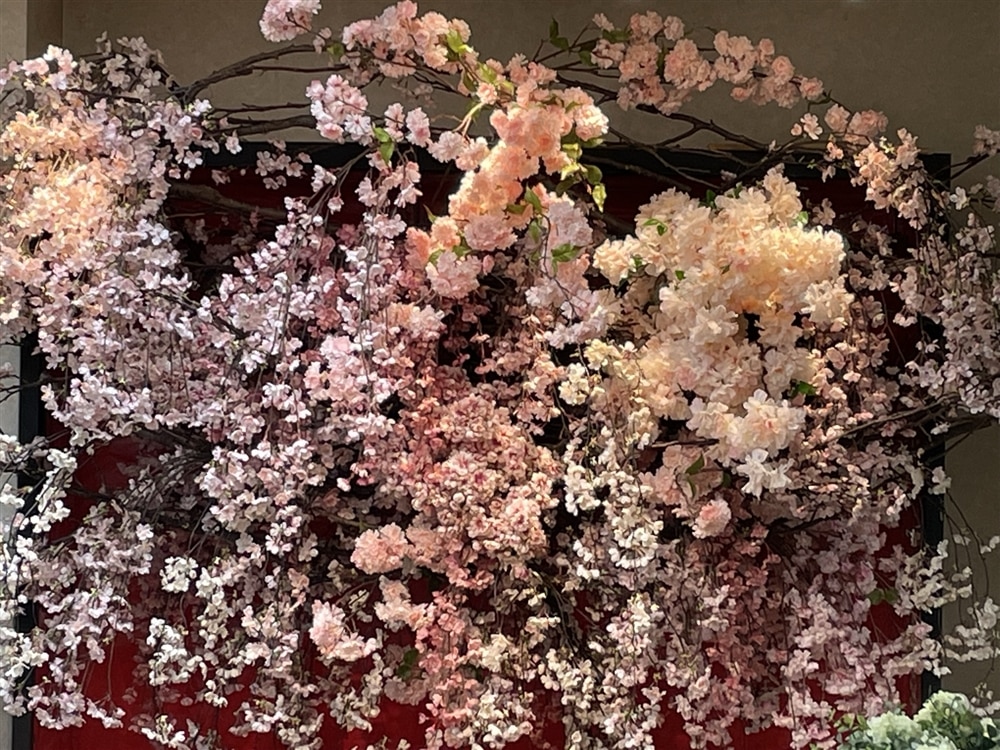 ≪本店1F≫咲き誇る満開の桜【ディスプレイレポート】 - CFL Store