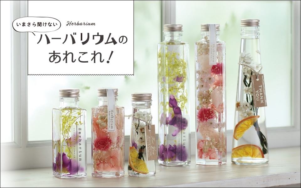 いまさら聞けないハーバリウムのあれこれ！ | 【東京堂】 プリザーブド