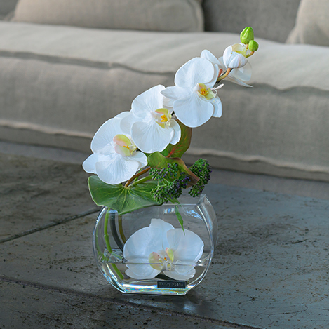 胡蝶蘭(ファレノプシス)のアートフラワー特集|エミリオ・ロバ公式