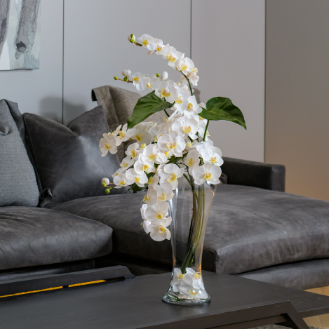 胡蝶蘭(ファレノプシス)のアートフラワー特集|エミリオ・ロバ公式