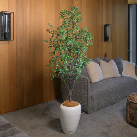 オリーブ アーティフィシャルグリーン 観葉植物 インテリア