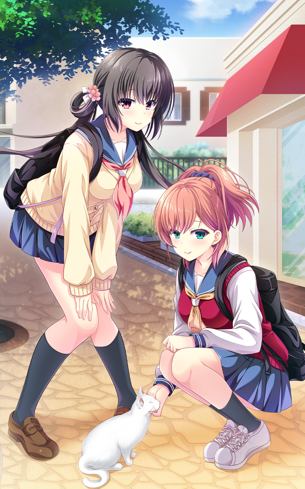 PS4/Switch 『放課後シンデレラ』オフィシャルサイト | ENTERGRAM