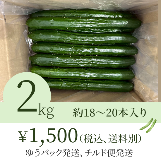 きゅうりについて | 宮崎県のきゅうり農園なら【縁Doふぁーむ】