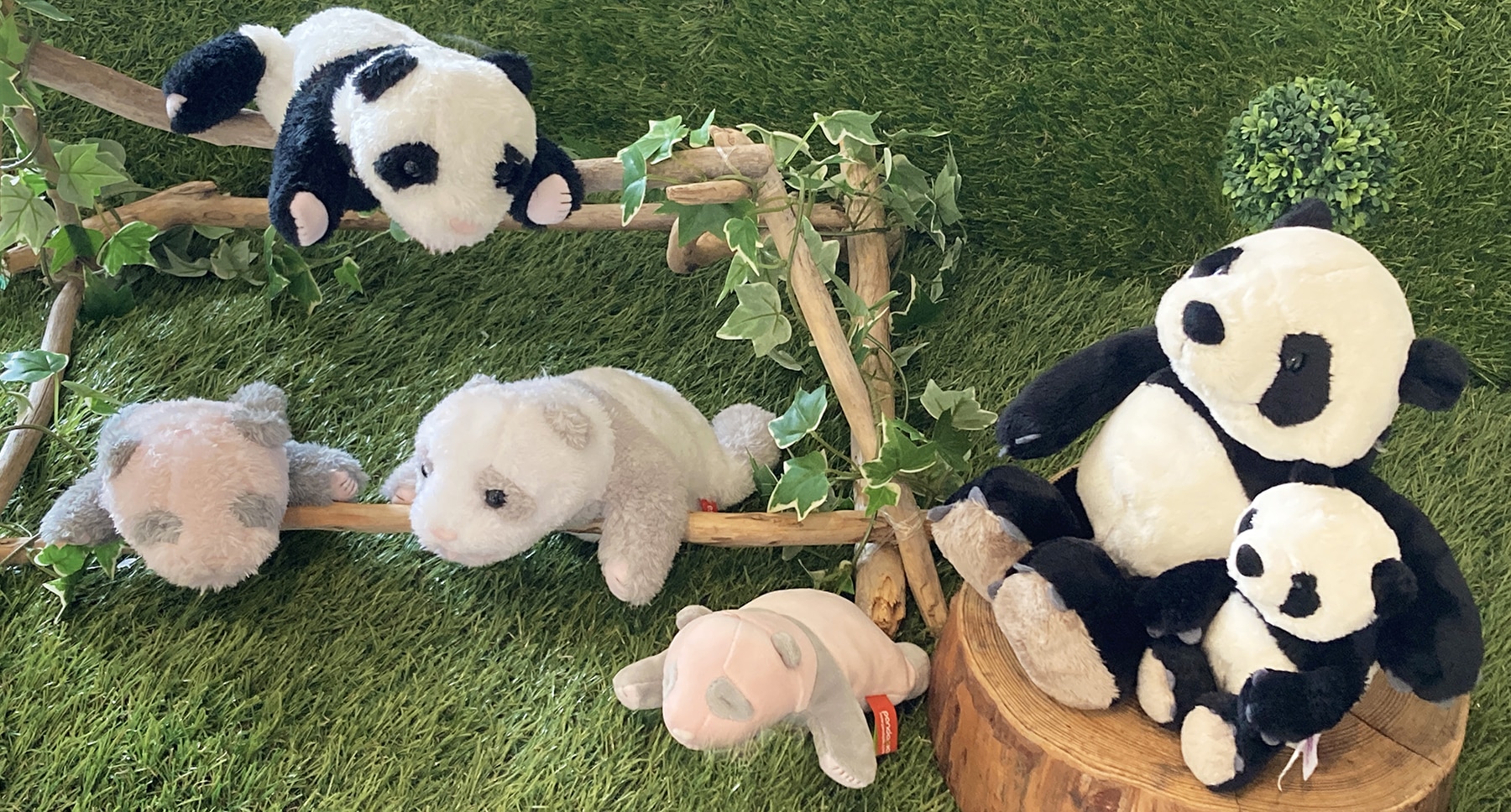 アドベンチャーワールド公式ぬいぐるみ/パンダぬいぐるみオンライン