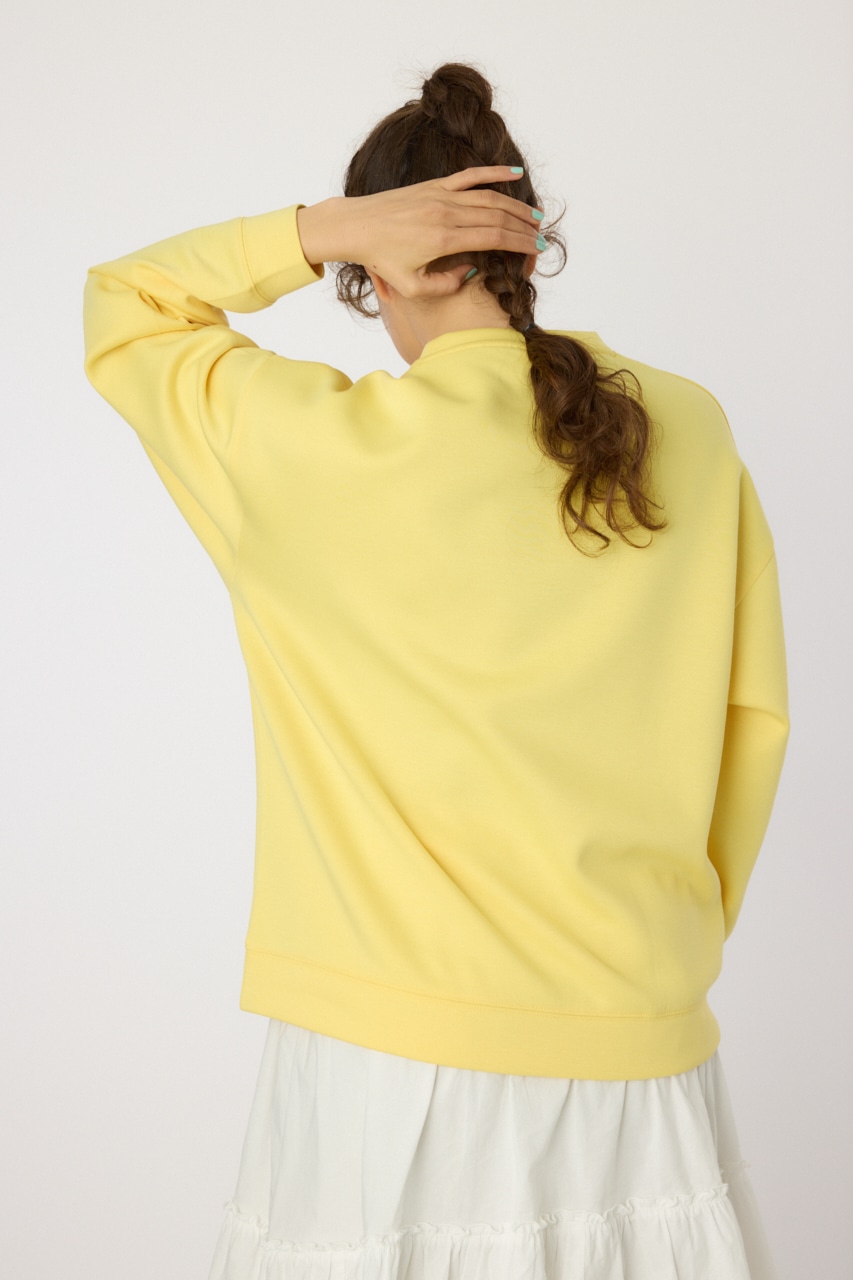 RODEO CROWNS WIDE BOWL | 【UNISEX】サガラベアポンチトップス (T