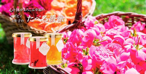 TOP│えこりん村【公式サイト】